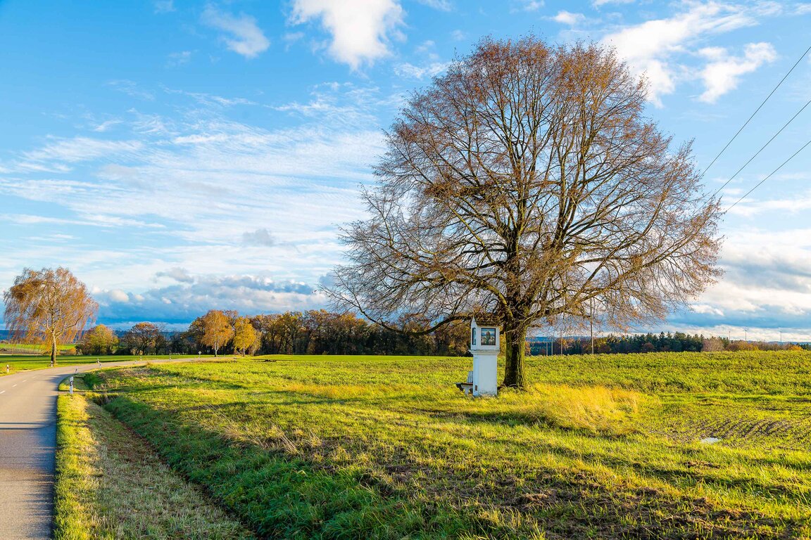 Image: 02_JA Ebene Flurbereinigung .jpg